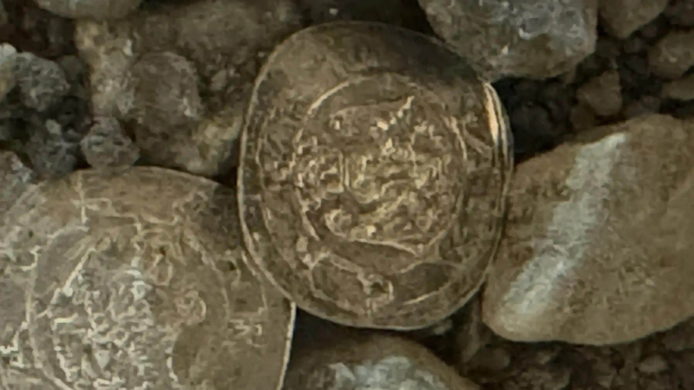 6_coins