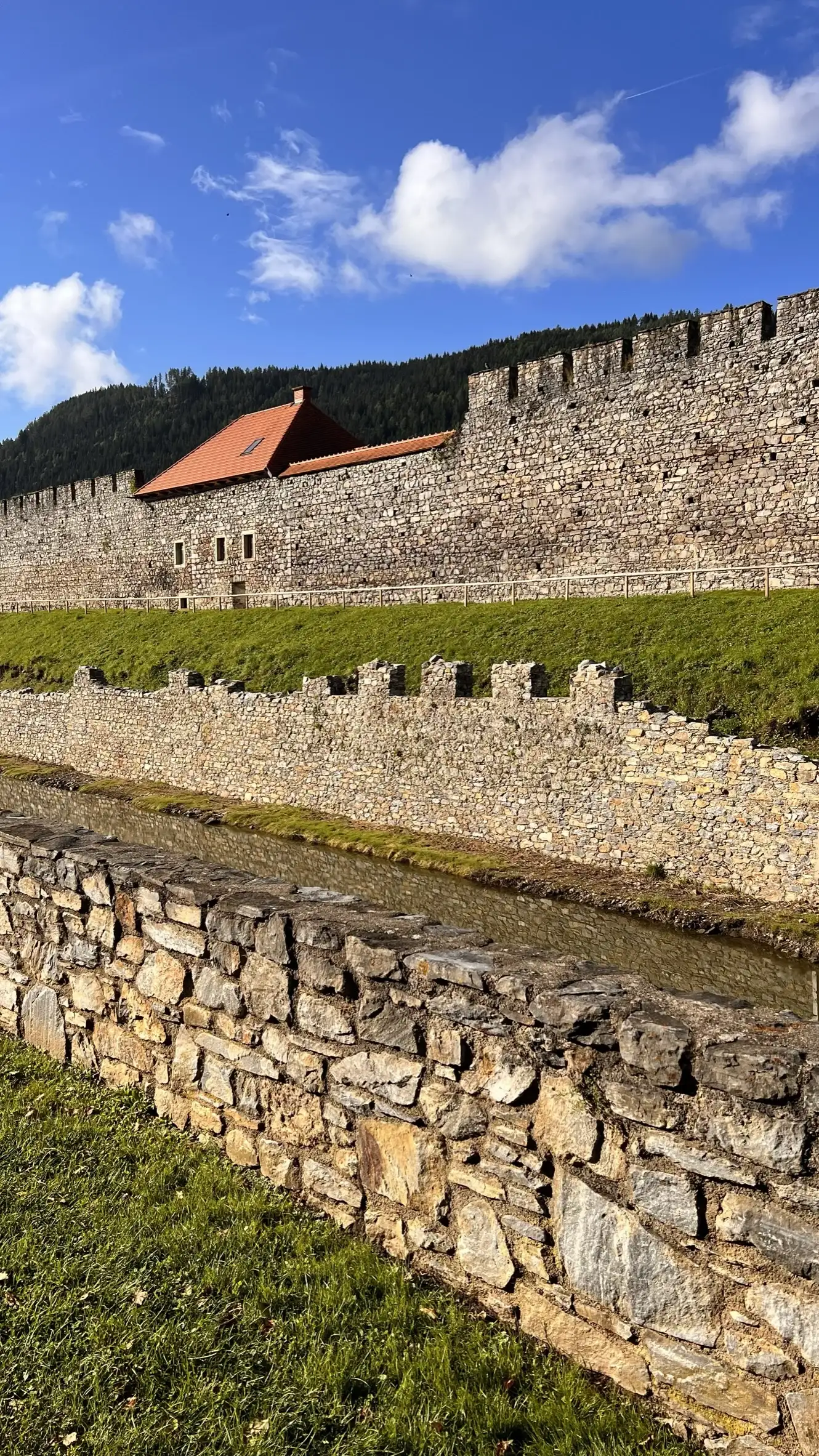 TG1_IMG_3209