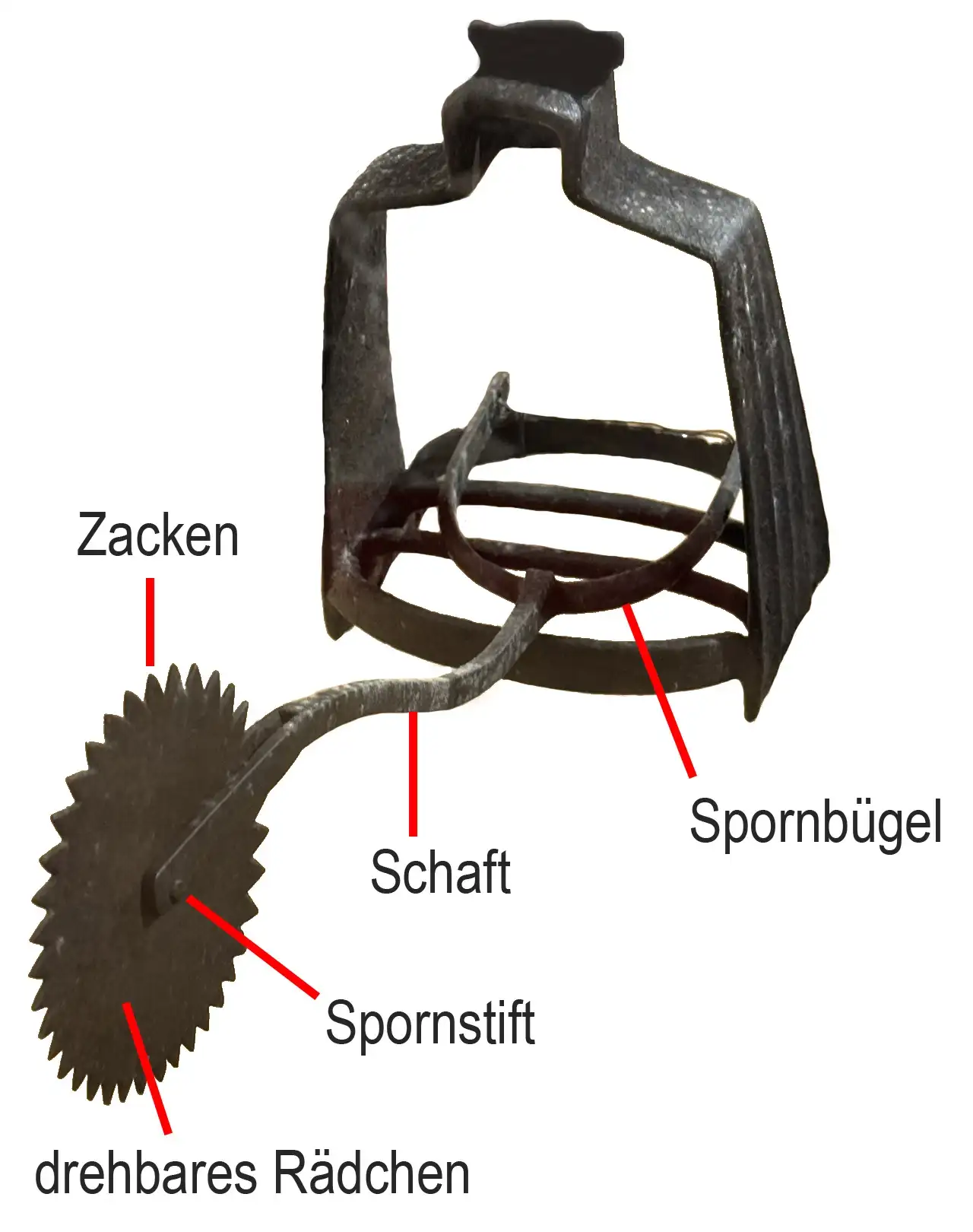 Das Bild zeigt die Teile eines Sporns.