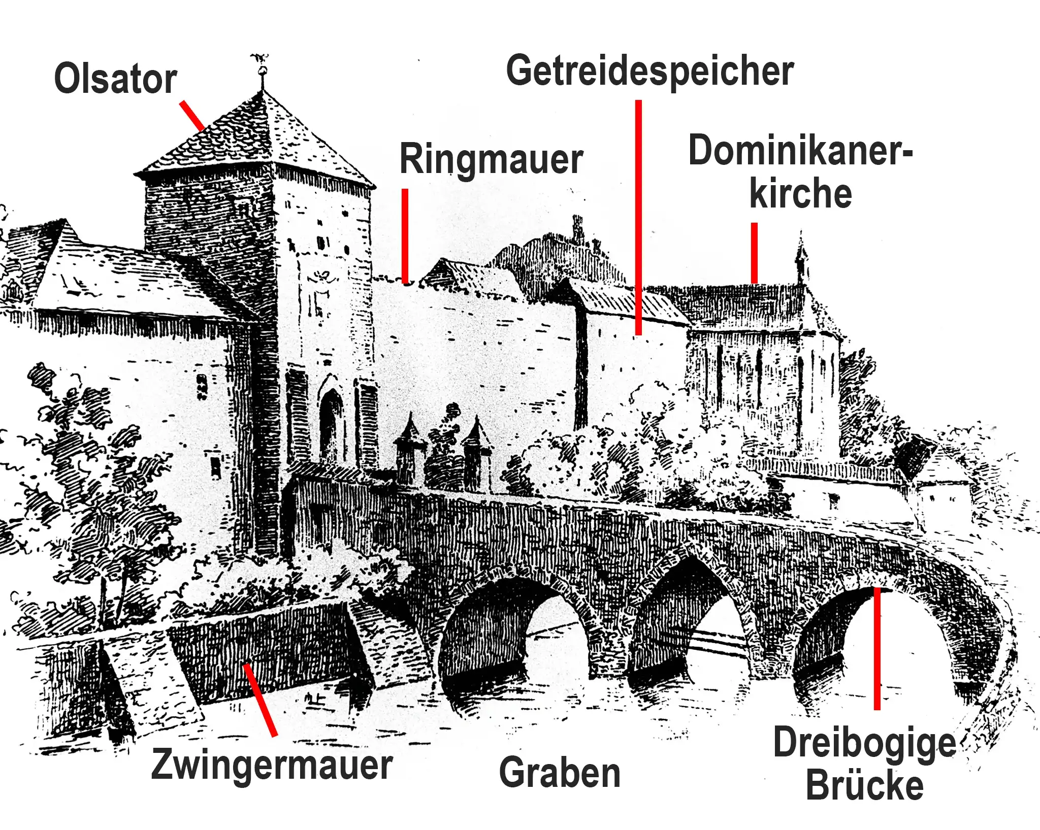 2_IMG_6200_Olsator_Ger