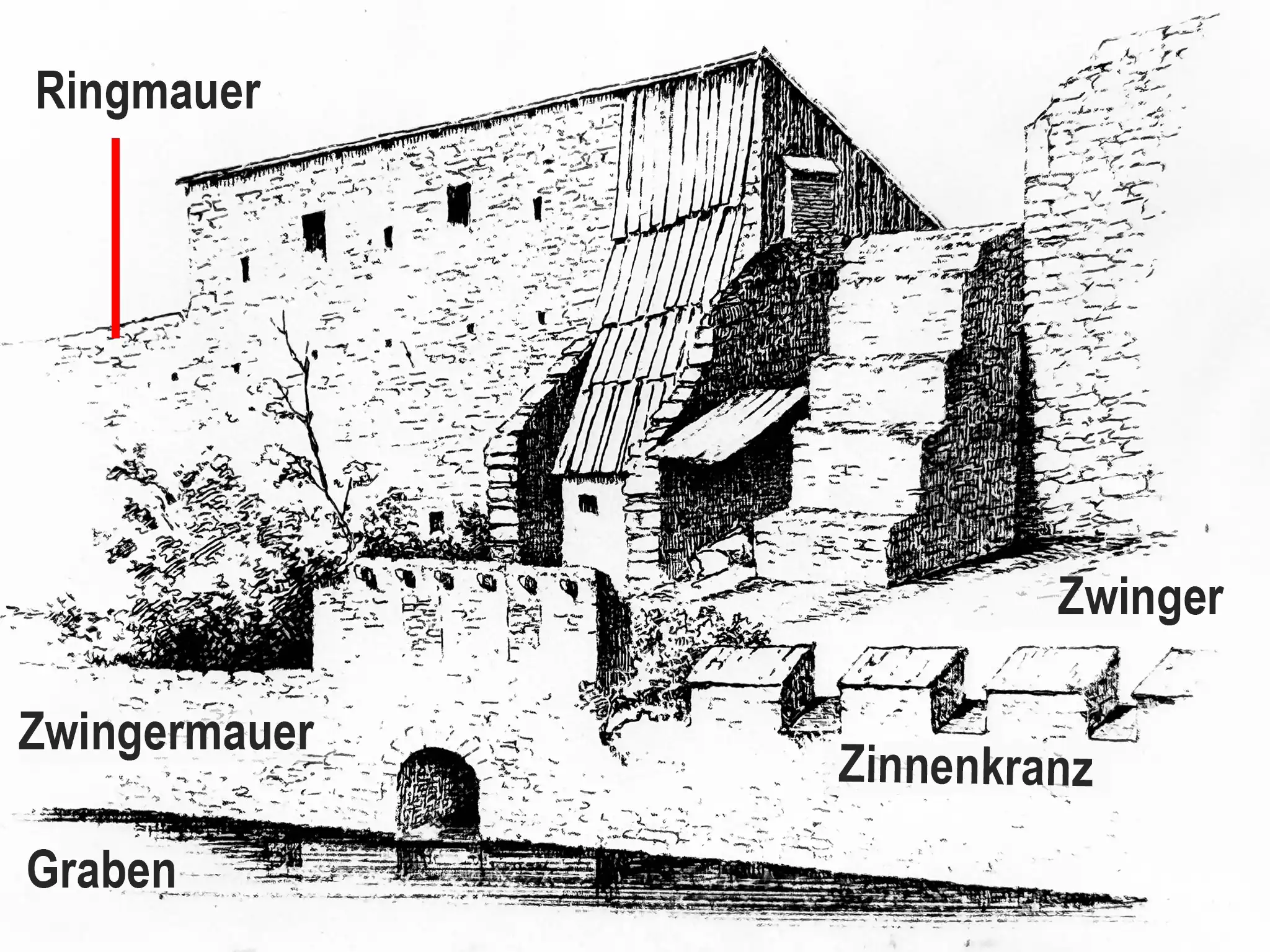 8_IMG_6208_South Wall_Ger