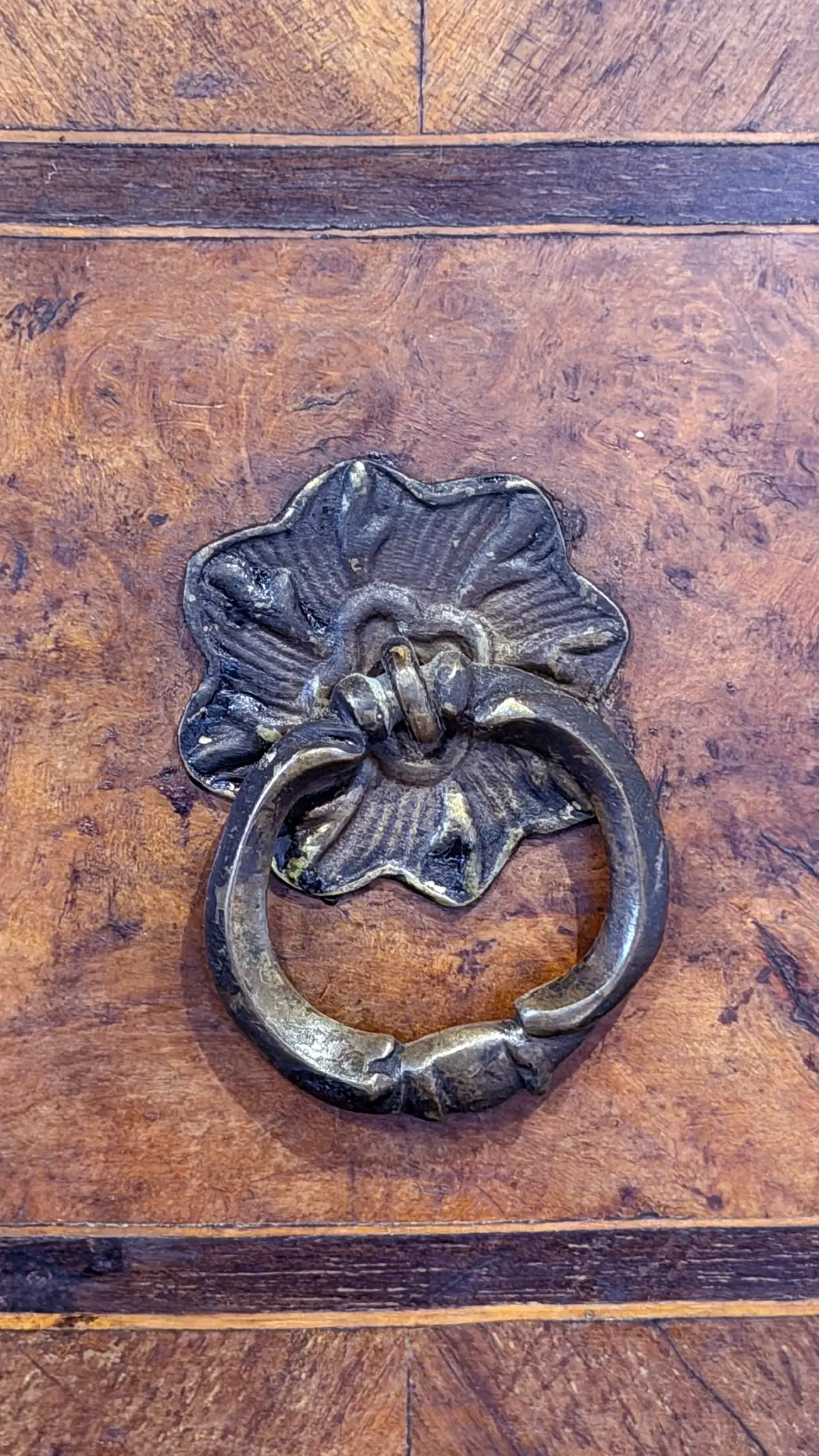 Detail of brass drop handle with shaped backplate on marquetry veneer.